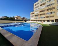 Location longue durée - Appartement - Torrevieja - La veleta