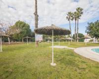 Location longue durée - Appartement - Torrevieja - Los balcones