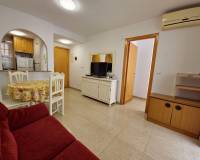 Location longue durée - Appartement - Torrevieja - Parque las naciones