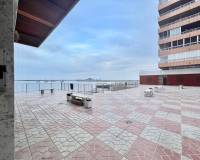 Location longue durée - Appartement - Torrevieja - Paseo maritimo