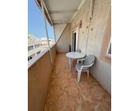 Location longue durée - Appartement - Torrevieja - Playa de El Cura