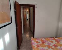 Location longue durée - Appartement - Torrevieja - Playa de los Locos