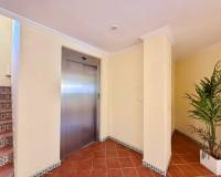 Location longue durée - Appartement - Torrevieja - Playa de los Locos