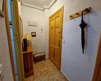 Location longue durée - Appartement - Torrevieja - Playa de los Locos