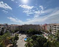 Location longue durée - Appartement - Torrevieja - Playa del Cura