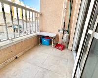 Location longue durée - Appartement - Torrevieja - Puerto de Torrevieja