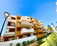 Location longue durée - Appartement - Torrevieja - Punta prima