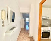 Location longue durée - Appartement - Torrevieja - Punta prima