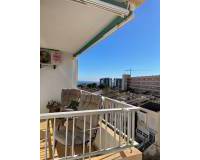 Location longue durée - Appartement - Torrevieja - Punta prima