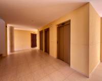 Location longue durée - Appartement - Torrevieja - Torrelamata - La Mata