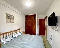 Location longue durée - Appartement - Torrevieja - Torrelamata - La Mata