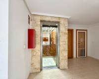 Location longue durée - Appartement - Torrevieja - Torrelamata - La Mata