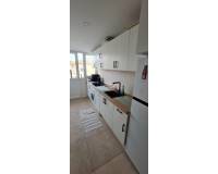 Location longue durée - Appartement - Torrevieja - torrevieja