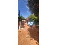 Location longue durée - Appartement - Torrevieja - torrevieja