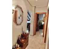 Location longue durée - Chalet - Torre Pacheco - Torrepacheco