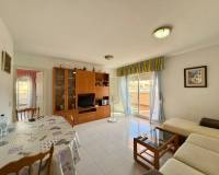 Location longue durée - Penthouse - Torrevieja - Acequion