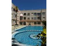 Location longue durée - Penthouse - Torrevieja - Curva del Palangre