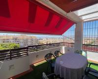 Location longue durée - Penthouse - Torrevieja - El molino