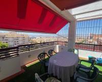 Location longue durée - Penthouse - Torrevieja - El molino