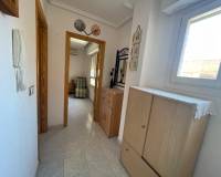 Location longue durée - Penthouse - Torrevieja - El molino