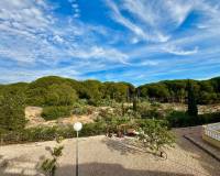 Location longue durée - Penthouse - Torrevieja - La Mata