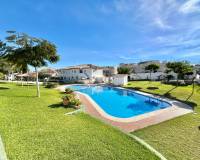 Location longue durée - Penthouse - Torrevieja - Los balcones