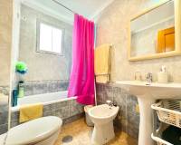 Location longue durée - Penthouse - Torrevieja - Playa de los Locos