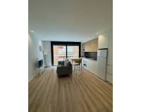 Location longue durée - Studio apartment - Elche - Center