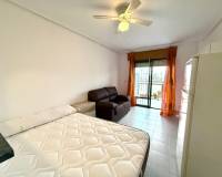 Location longue durée - Studio apartment - Torrevieja - El Chaparral