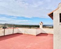 Location longue durée - Studio apartment - Torrevieja - La Mata