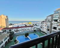 Location longue durée - Studio apartment - Torrevieja - Los Frutales