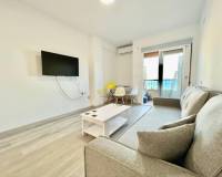 Location longue durée - Studio apartment - Torrevieja - Los Frutales