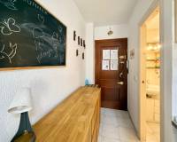 Location longue durée - Studio apartment - Torrevieja - Parque las naciones