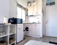 Location longue durée - Studio apartment - Torrevieja - Playa de los Locos