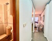 Location longue durée - Studio apartment - Torrevieja - Playa del Acequión