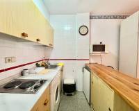 Location longue durée - Studio apartment - Torrevieja - Playa del Acequión