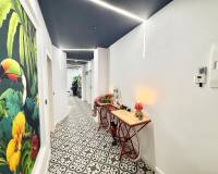 Location longue durée - Studio apartment - Torrevieja - Playa del Acequión