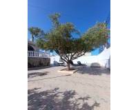 Location longue durée - Villa - Torrevieja - El Chaparral