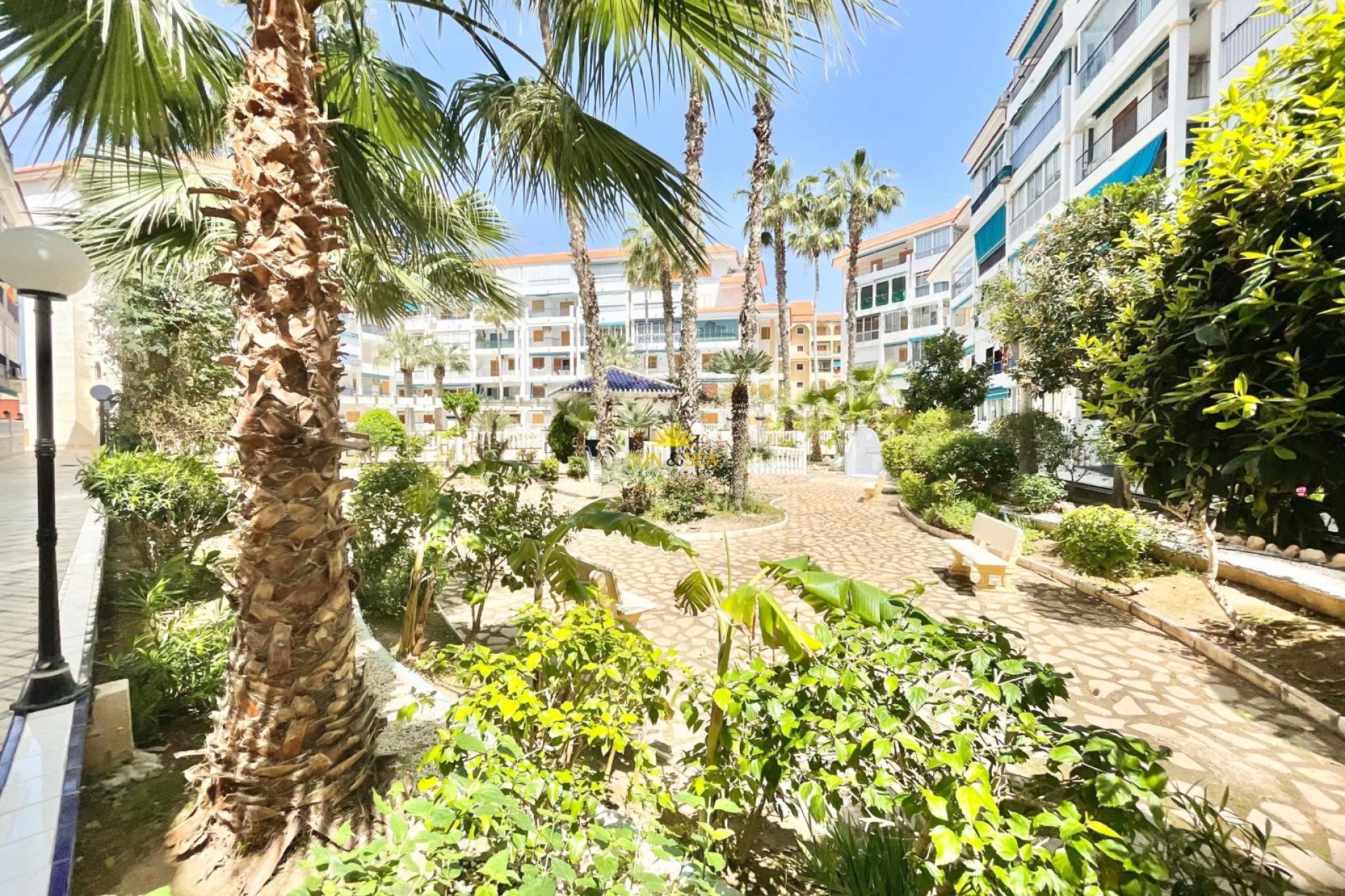 Long Term Rental - Studio apartment - Torrevieja - La Mata