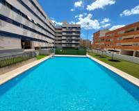 Long time Rental - Apartment - Alicante - Carolinas Altas