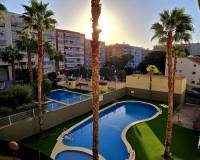 Long time Rental - Apartment - Alicante - Carolinas Altas