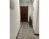 Long time Rental - Apartment - Alicante - Florida Alta