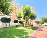 Long time Rental - Apartment - Alicante - Playa San Juan