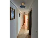 Long time Rental - Apartment - Almoradí