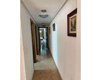 Long time Rental - Apartment - Almoradí