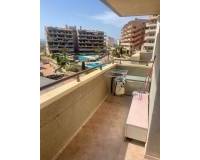 Long time Rental - Apartment - Arenales del Sol - Arenales