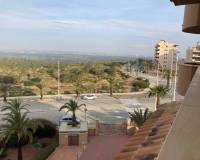 Long time Rental - Apartment - Arenales del Sol