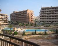 Long time Rental - Apartment - Arenales del Sol