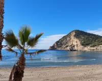 Long time Rental - Apartment - Benidorm