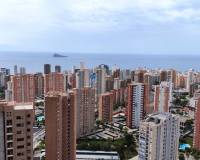 Long time Rental - Apartment - Benidorm